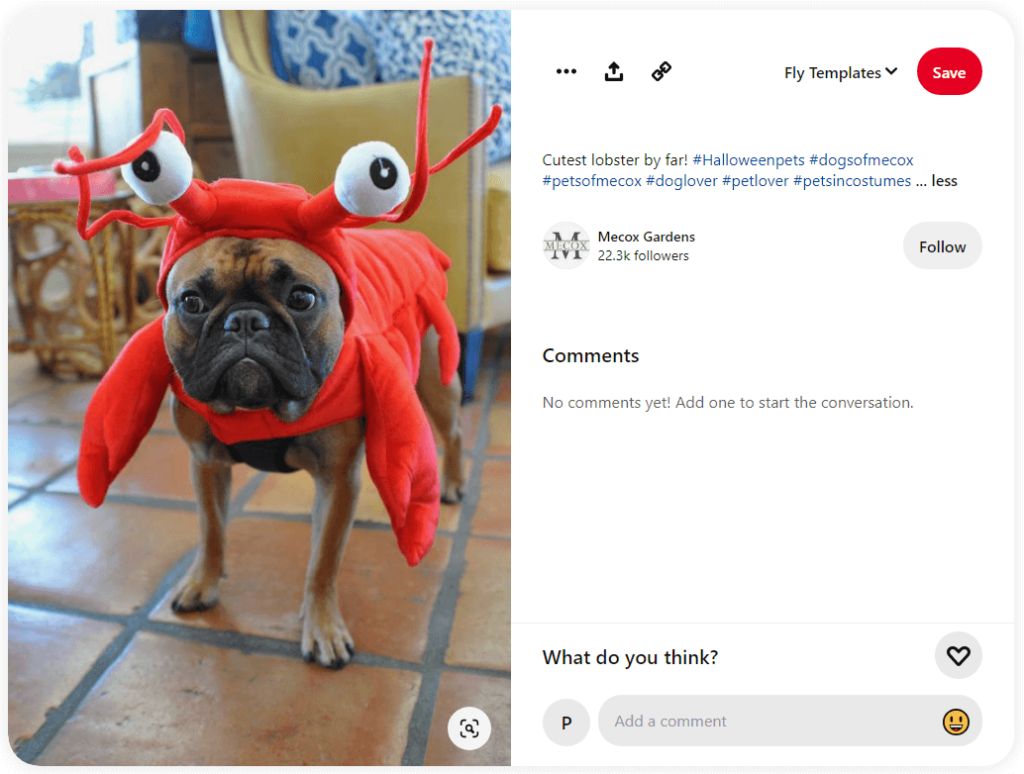Pet Halloween Costumes Showcase Pinterest Post