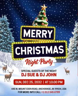 Night Party Merry Christmas Poster Template