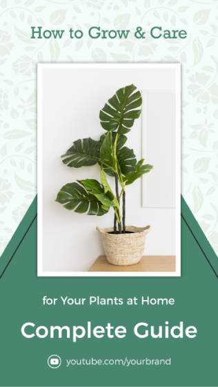 Floral Plant Guide Instagram Story Template